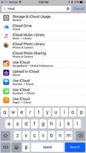iOS 9 Search Settings